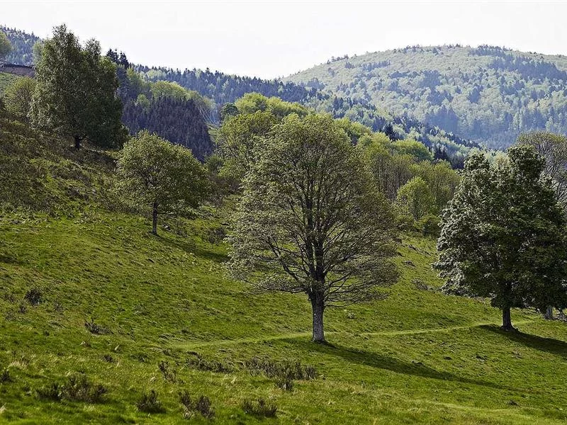 La Perheux