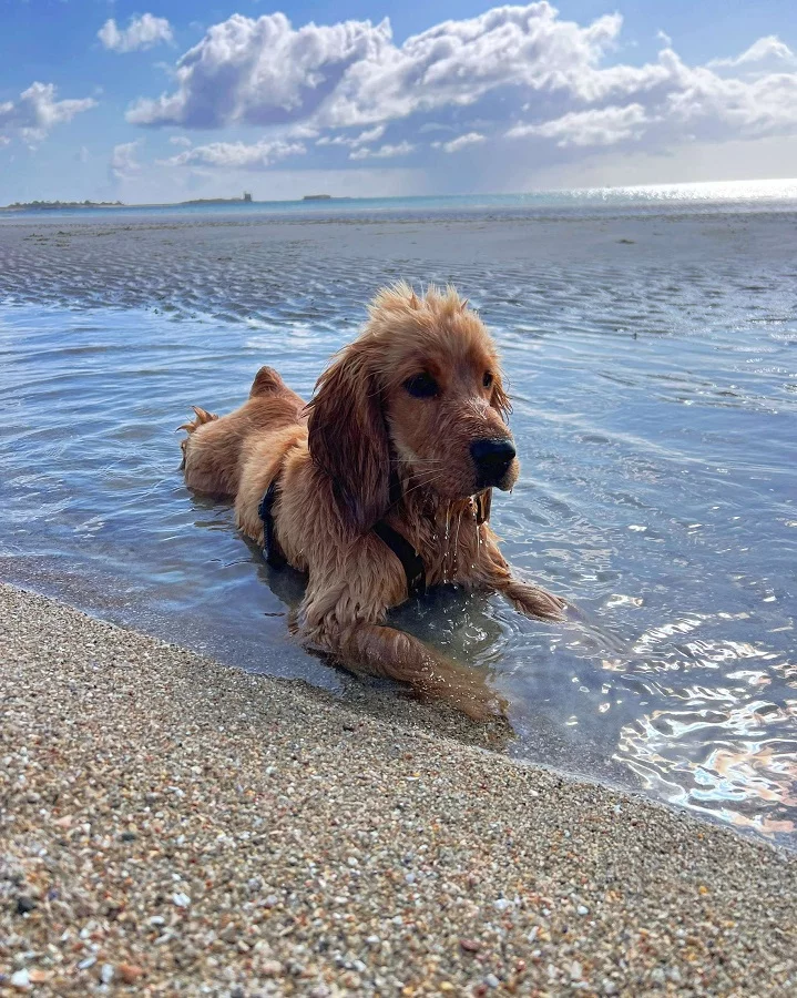 Plage de la Redoute