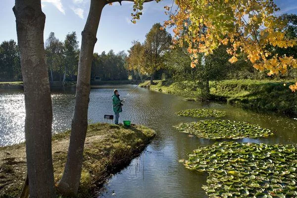 Pêcher en Alsace Bossue