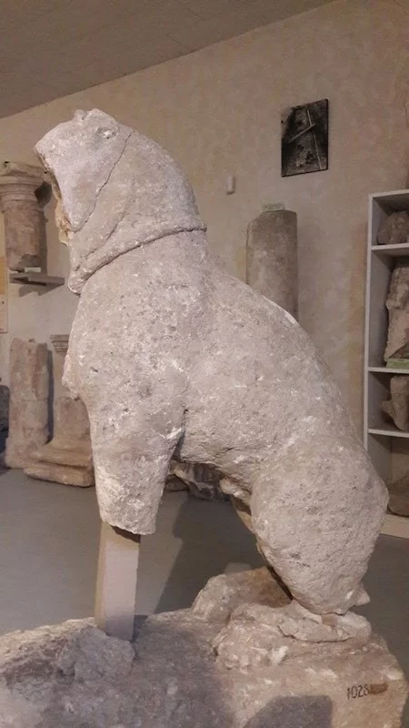 Musée lapidaire gallo-romain