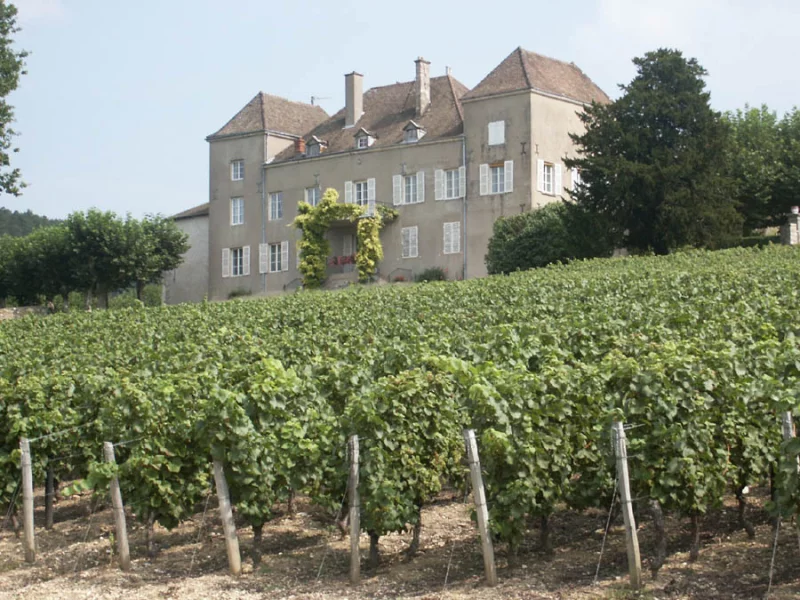 Musée de la Vigne et du Vin