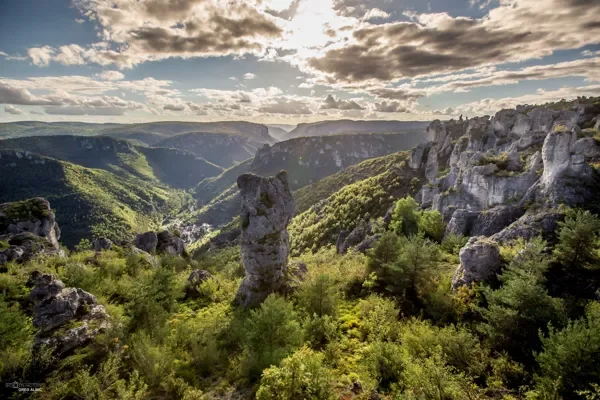 Les Gorges de la Dourbie