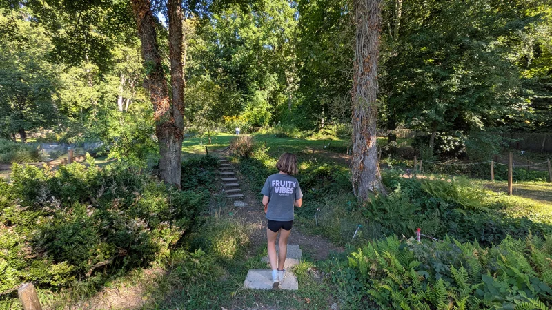 Jardin de plantes médicinales de l'Abbaye de Vauclair