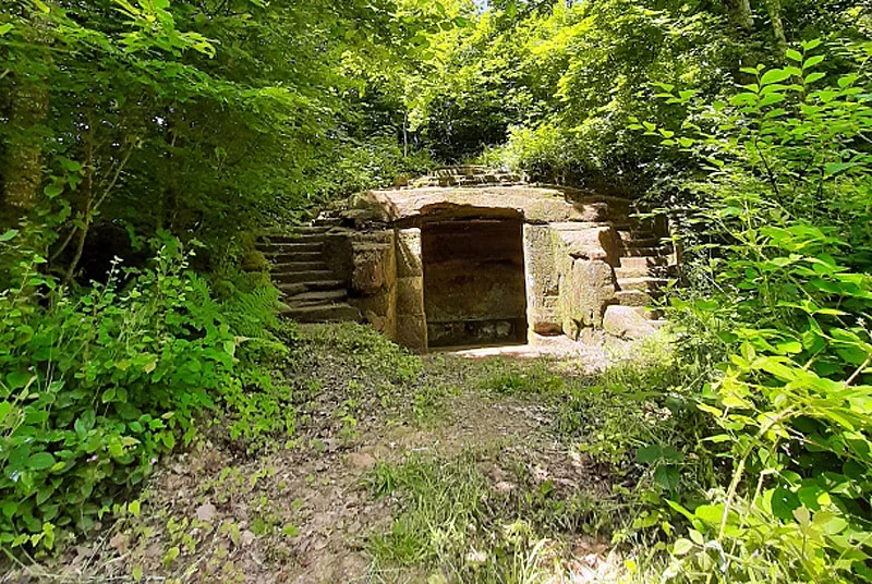 BOIS BANAL DE FAYL-BILLOT