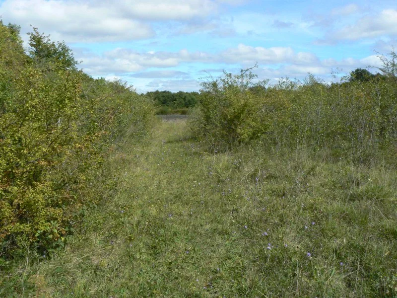 Espace naturel sensible des prairies de la Celle