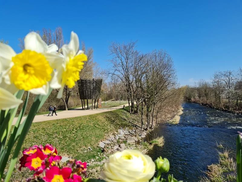 Le parc des Rives de la Thur