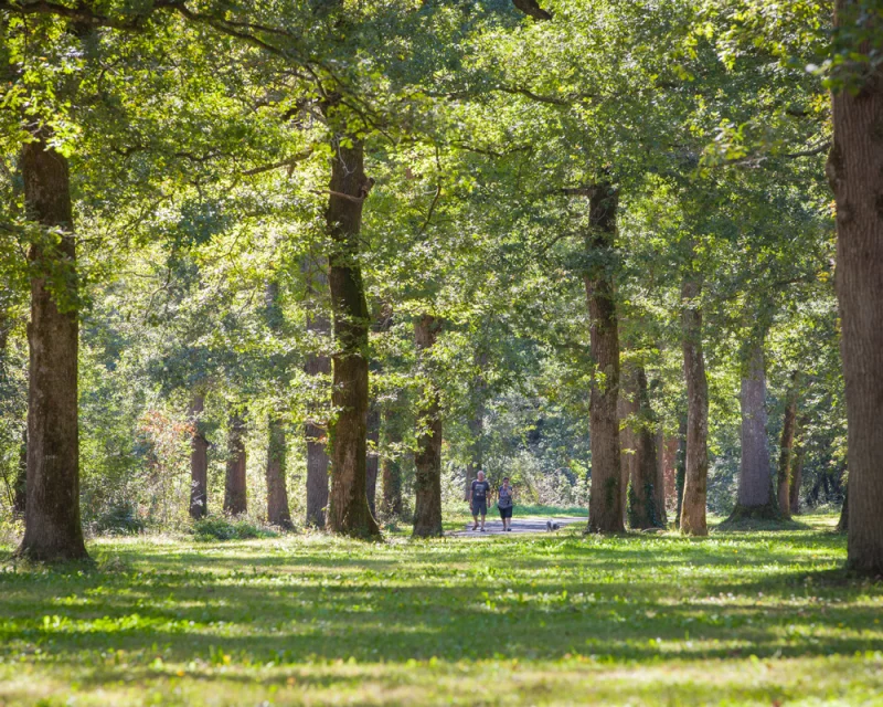 Le bois de Boulogne