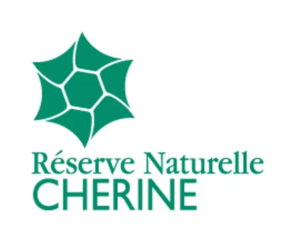 Plateforme d'observations (Réserve naturelle de Chérine)
