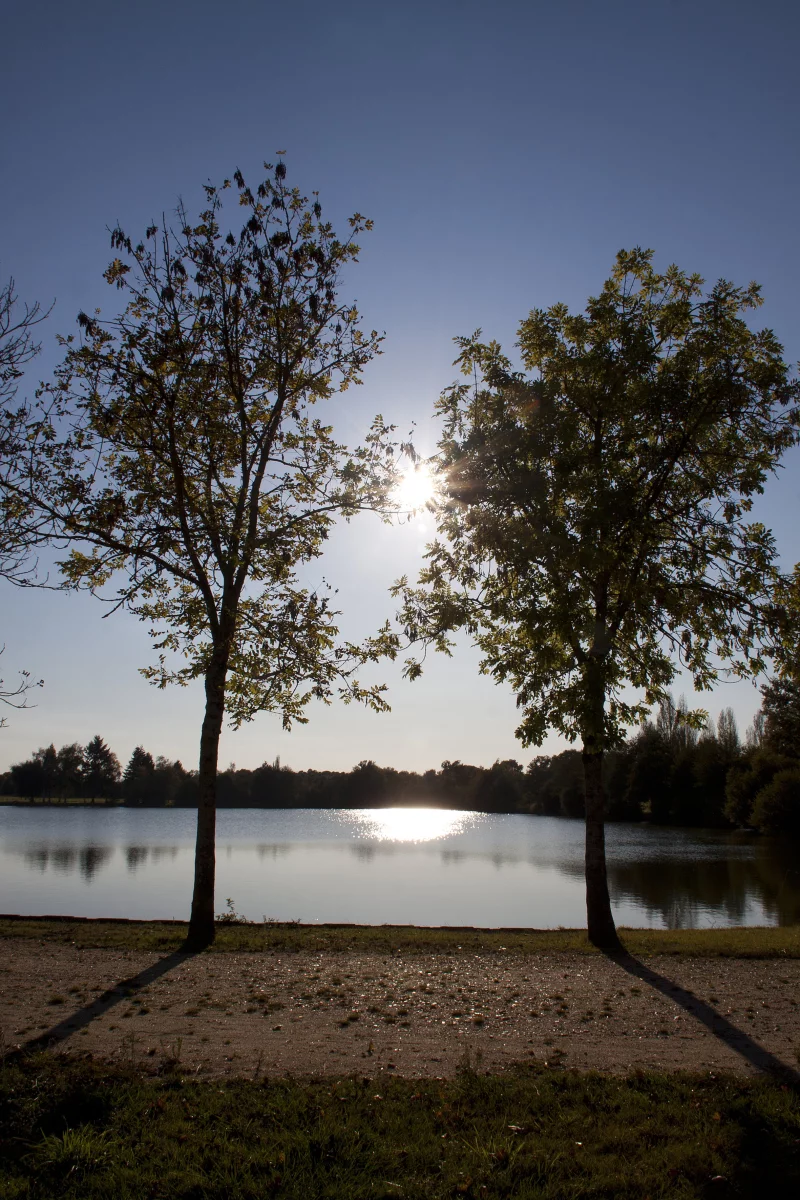 Etang de la Plancherotte
