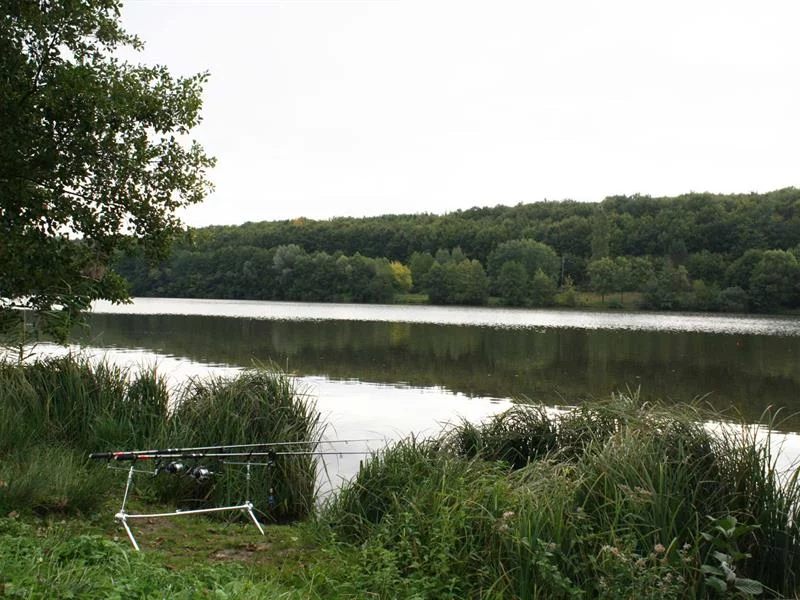 Pêche au plan d'eau