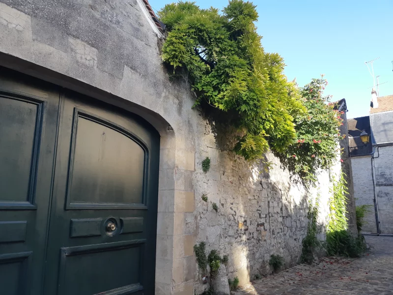 Les hôtels particuliers de Senlis