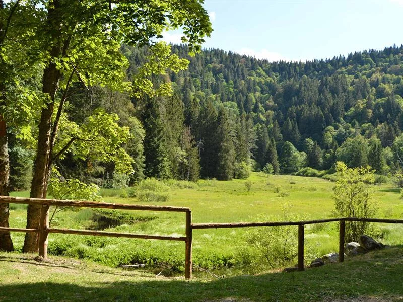 L’étang du Devin