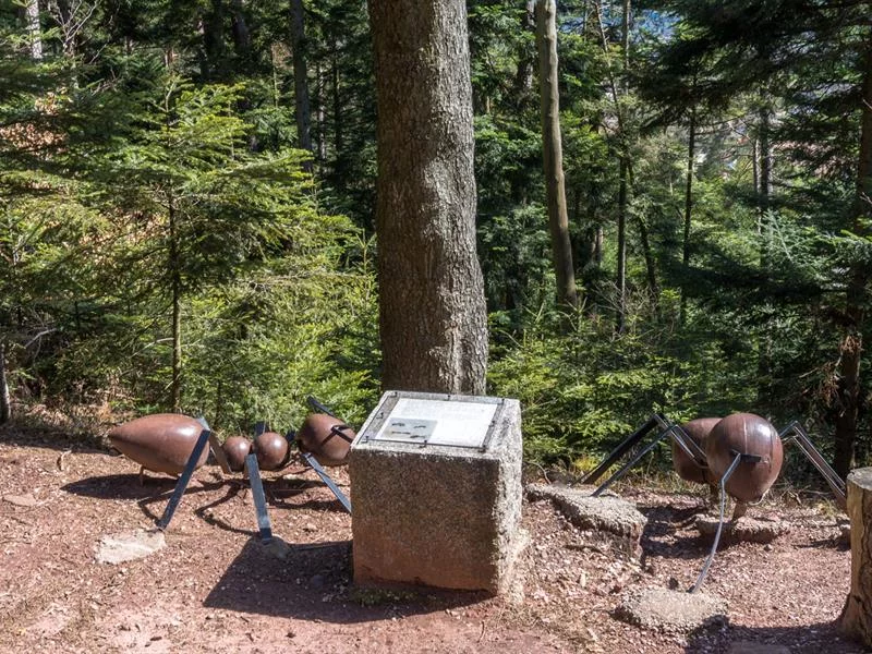 La Montagne des Fourmis Géantes