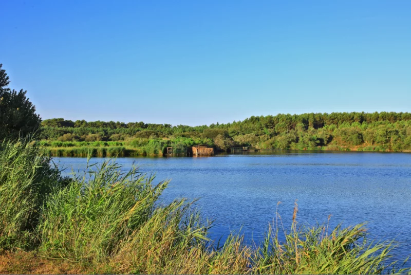 A la découverte de l'Adour Perdu, étang de Moïsan