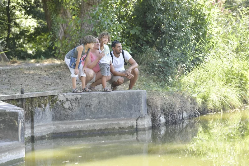 Etang de Massy