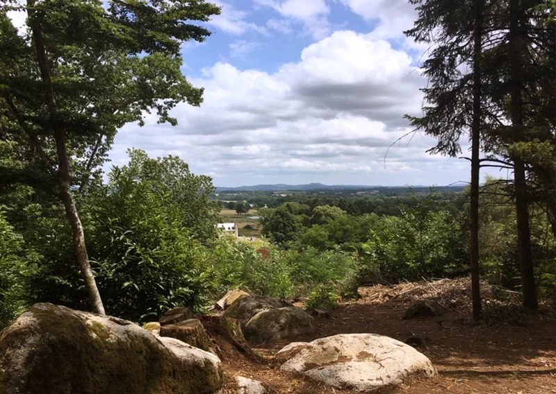 Bois de la Fôt