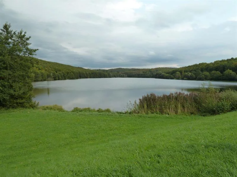 Plan d'eau - Réserve naturelle