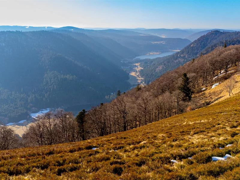 Le Haut gazon