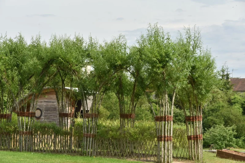 JARDIN AGATHE ROULLOT