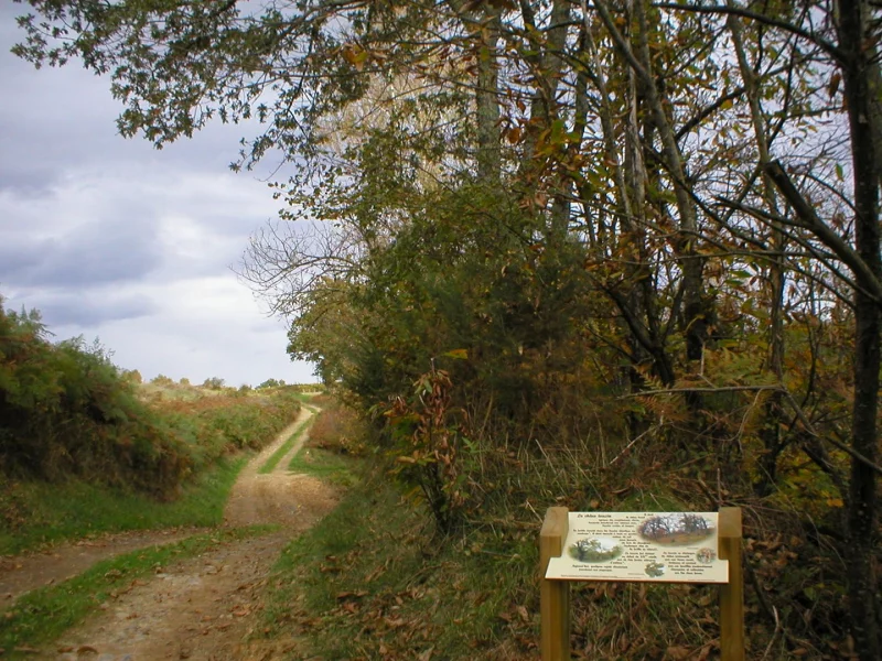 Sentier de découverte du Laring