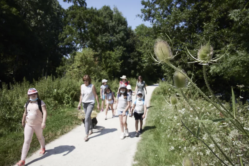 Plan d'eau de Mézières Ecluzelles