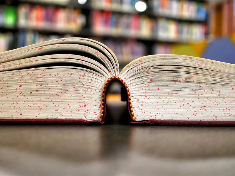 Bibliothèque L'espace évasion