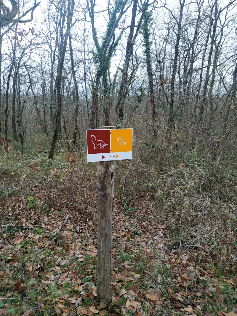 BOIS BARRAT