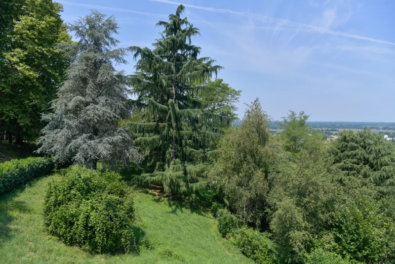 Oppidum de Morlanne