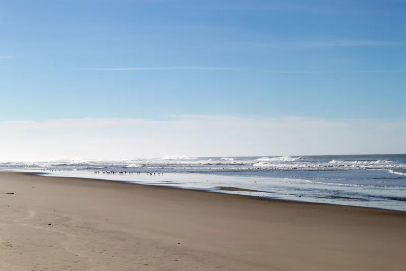 Plage surveillée d'Hourtin-Plage - Baignade Secondaire