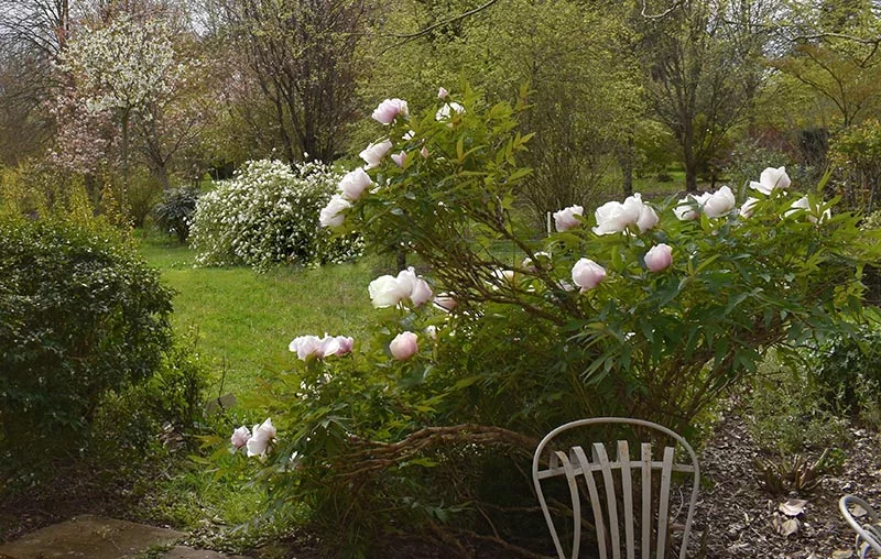 Arboretum Adeline