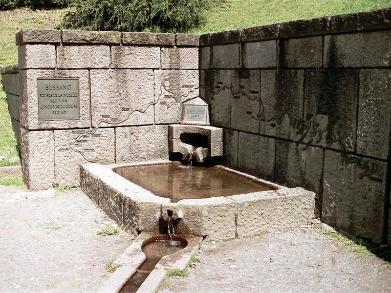 Source de la Moselle