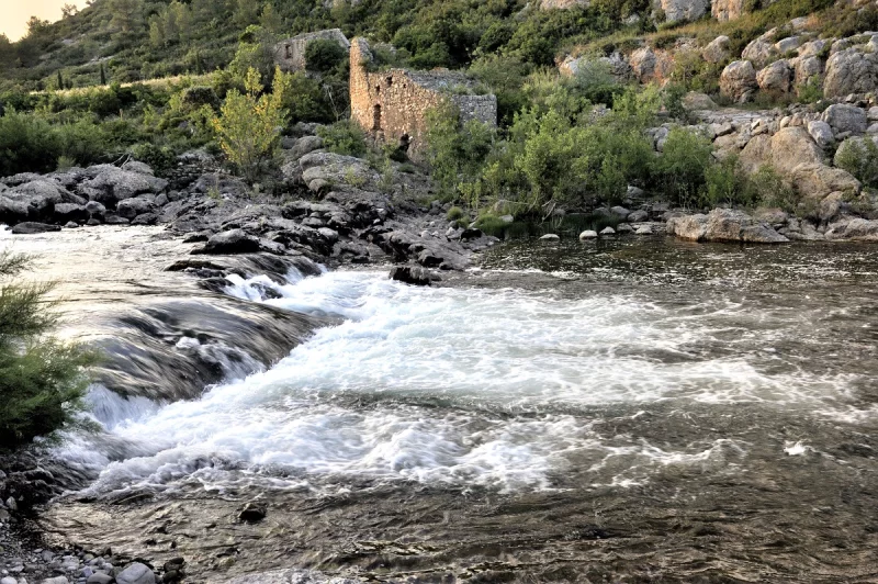 GORGES DE REALS