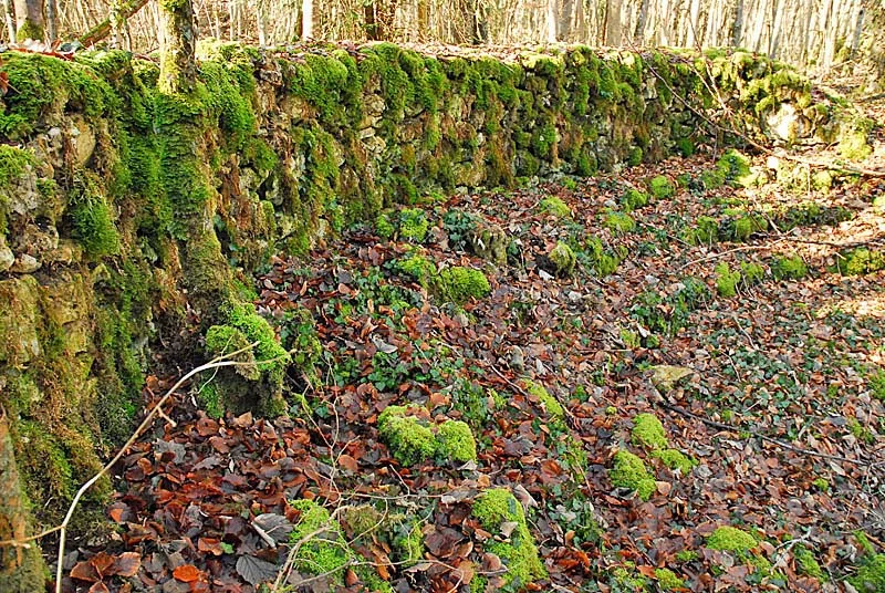 AMPHITHEATRES DE BREVOINES
