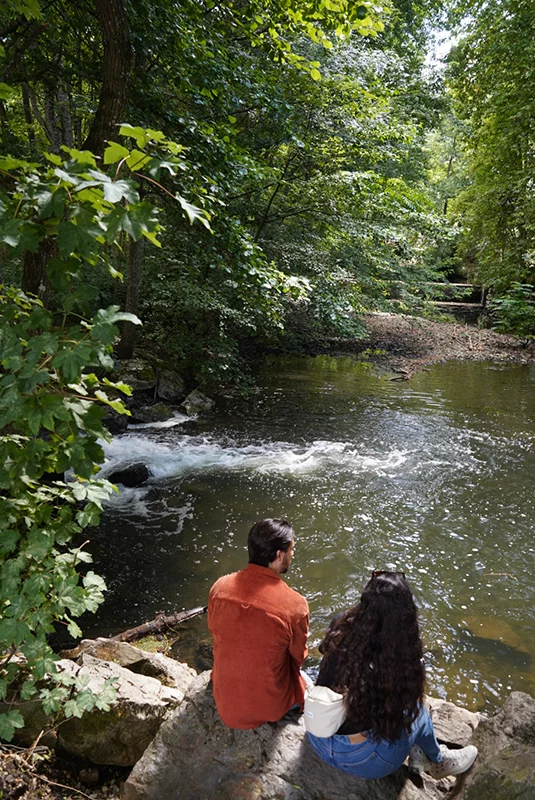 Bois de la Ringoire