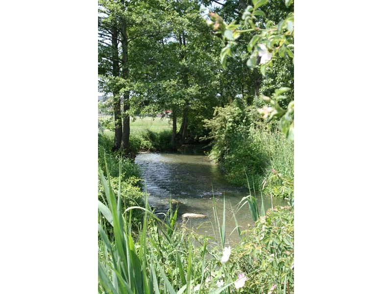 Vallée de l'Orne