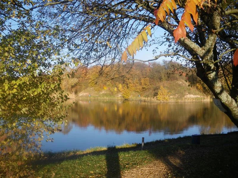 Parc almet