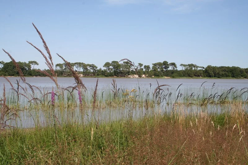 Site naturel de l'étang de Bellebouche