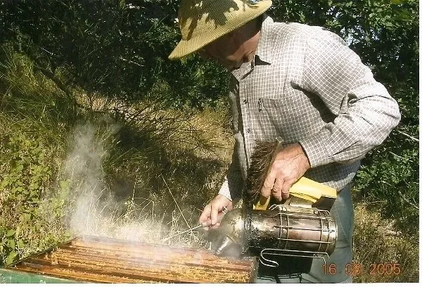 M. VAYSSE Apiculture
