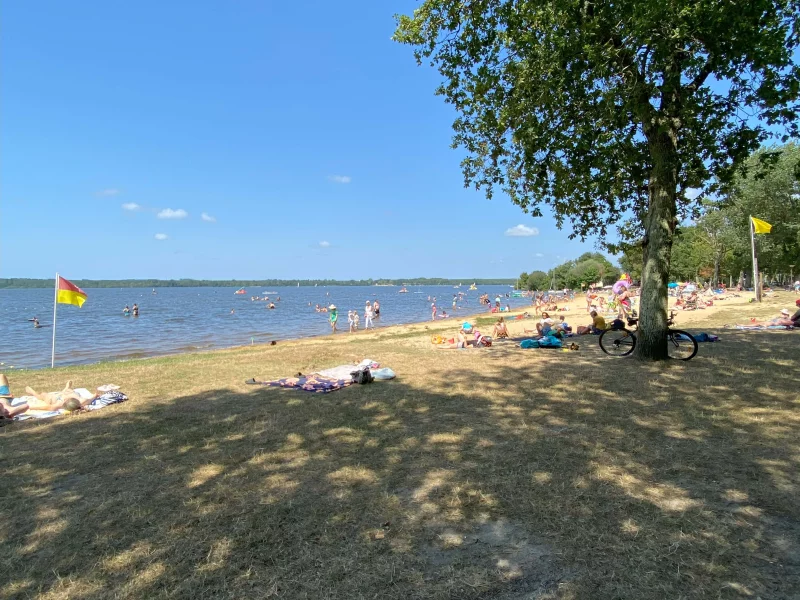 Plage du lac de Léon