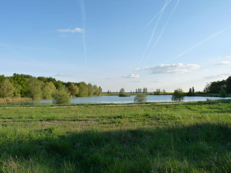 Plan d'eau du Bois-Vigneau