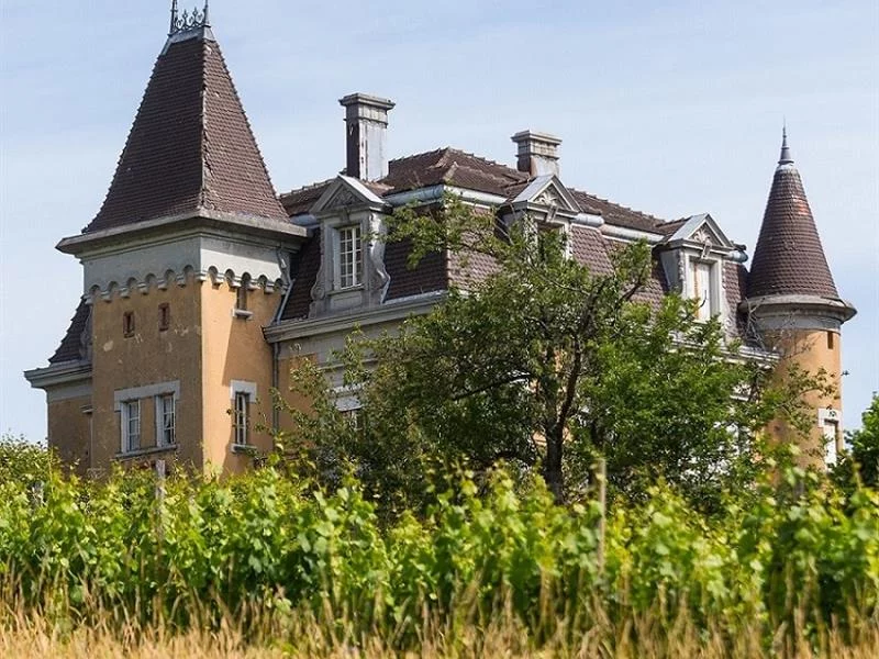 Le château d'Hagenbach