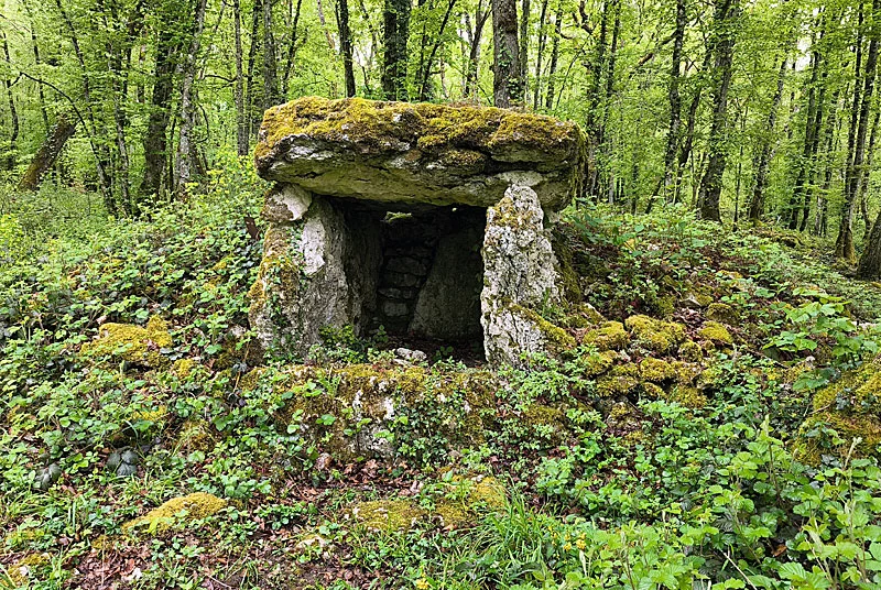 SITE NEOLITHIQUE DE FORT BEVAUX