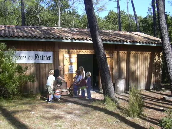 La réserve naturelle des Prés Salés d'Arès-Lège