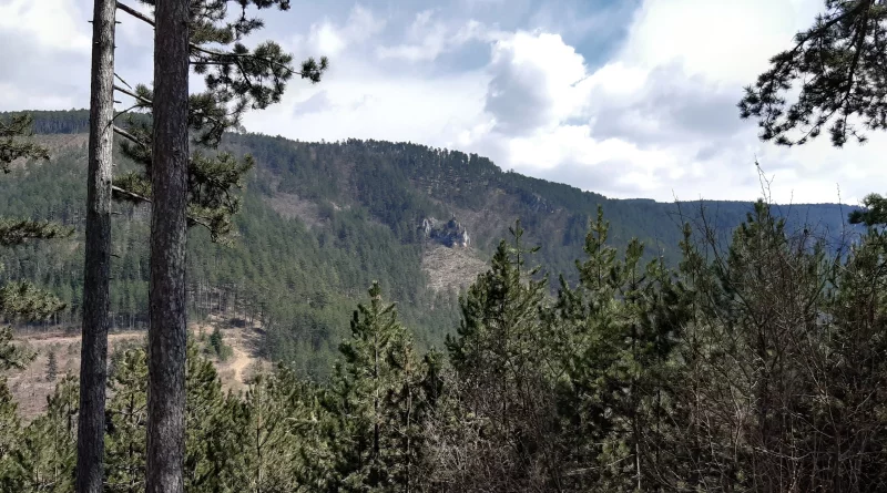 ROCHER DE MOÏSE