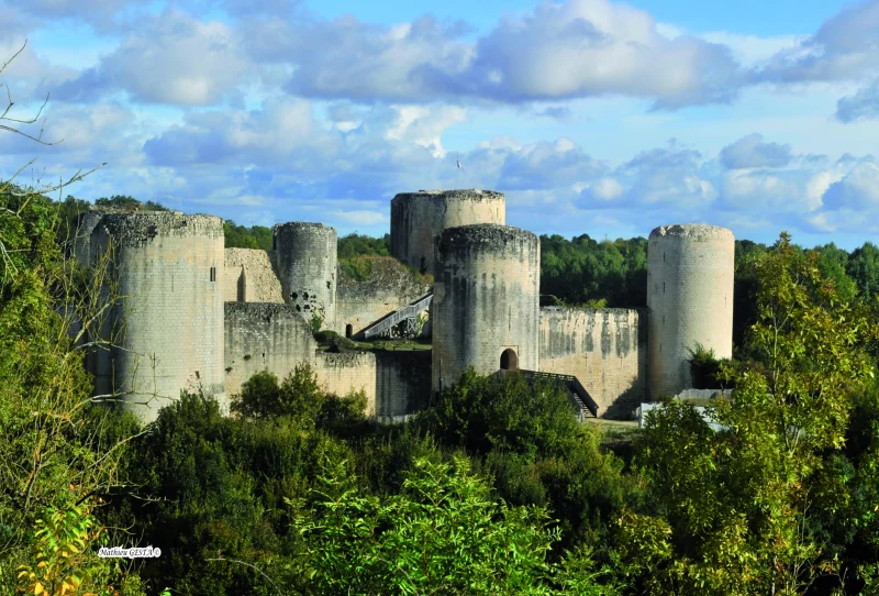 Château du Coudray-Salbart