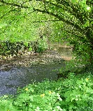 Le moulin à vent