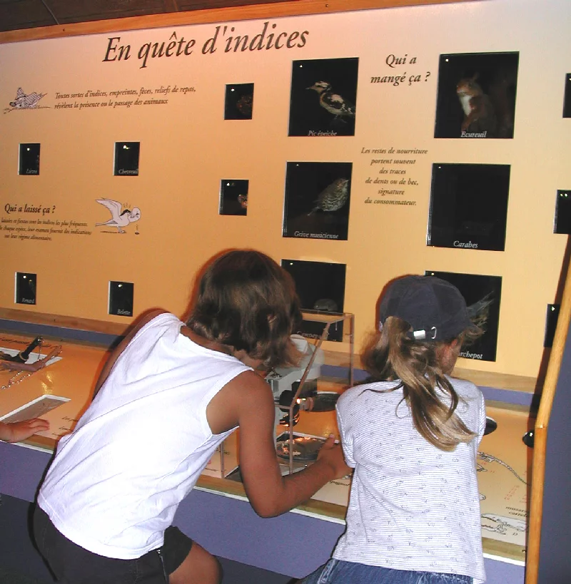 Museum d'Histoire Naturelle