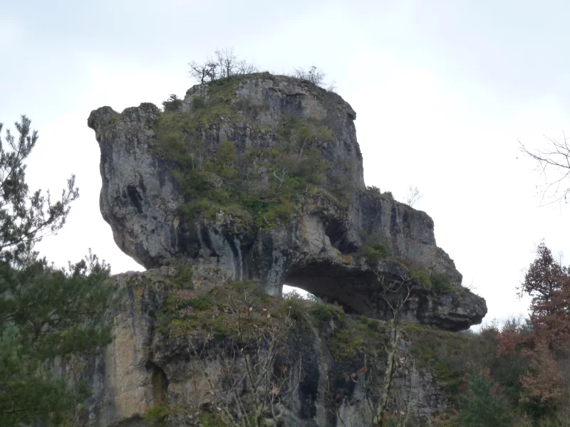 SABOT DE MALEPEYRE
