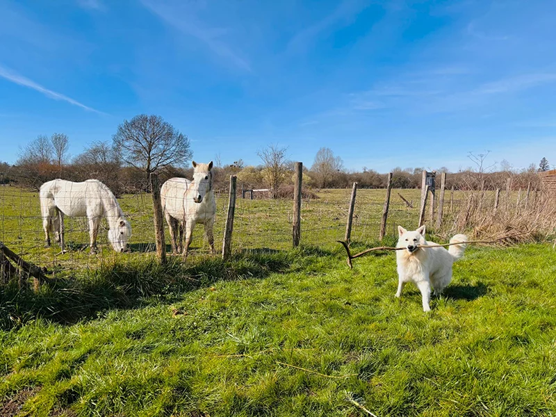 Écoparc des Chènevières