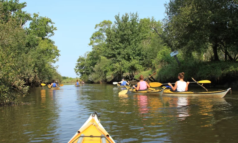Delta de la Leyre